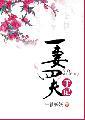 一妻四夫手记