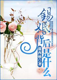 被同学包养的妈妈　续31　大结局