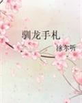 驯龙手札