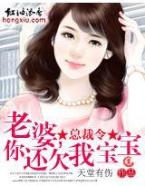总裁令:老婆,你还欠我宝宝