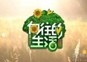 (向往的生活同人)向往的生活同人