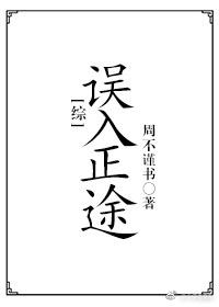 (综同人)[综]误入正途