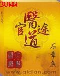 医道官途