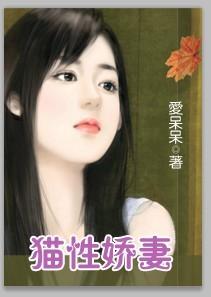丫鬟丈夫