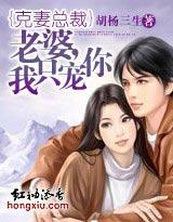 老婆,我只宠你