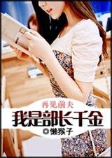 再见前夫:我是部长千金
