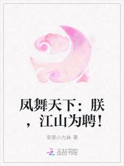 凤舞天下