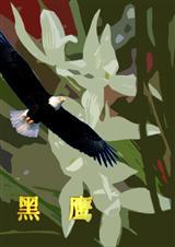 黑鹰