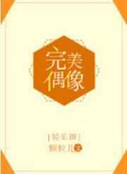 完美偶像[娱乐圈] 完结+番外