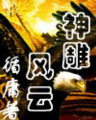 神雕风云