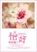 恰好