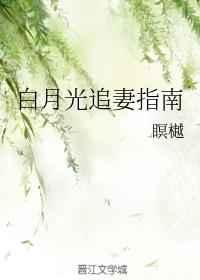 白月光追妻指南 完结+番外