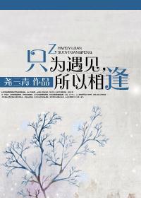 只为遇见,所以相逢