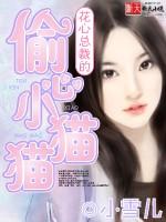 花心总裁的偷心小猫猫