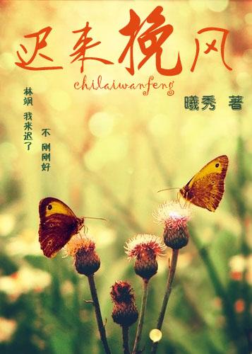 迟来挽风