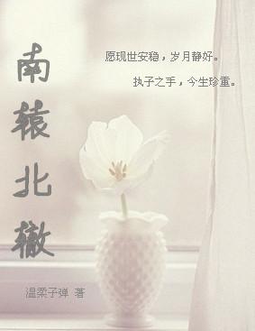 南辕北辙