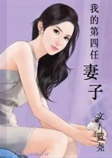 我的第四任妻子