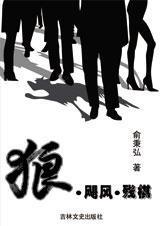 狼·飓风·残棋
