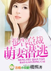 报告总裁,萌妻潜逃