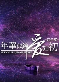 年华似锦爱如初
