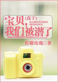 宝贝,我们被潜了