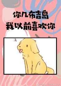 你几布吉岛我以前喜欢你 完结+番外