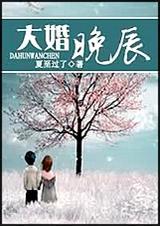 大婚晚辰