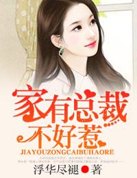 家有总裁,不好惹！