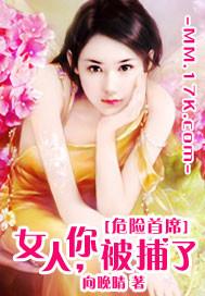危险首席:女人,你被捕了