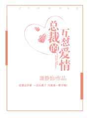 总裁的互怼爱情 完结+番外